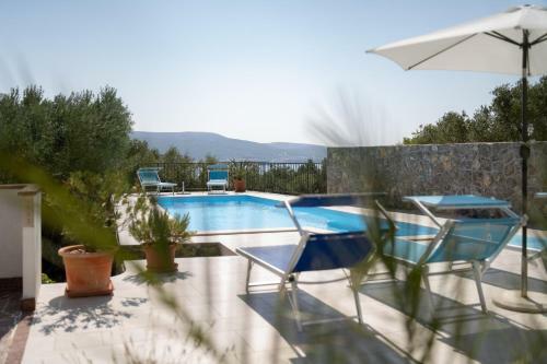 Vila Olive Tree