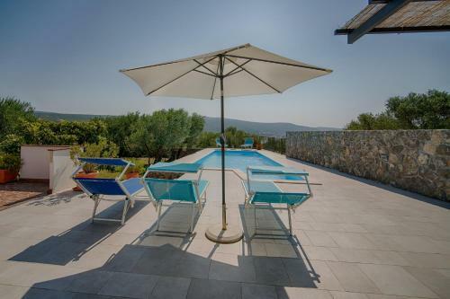 Vila Olive Tree