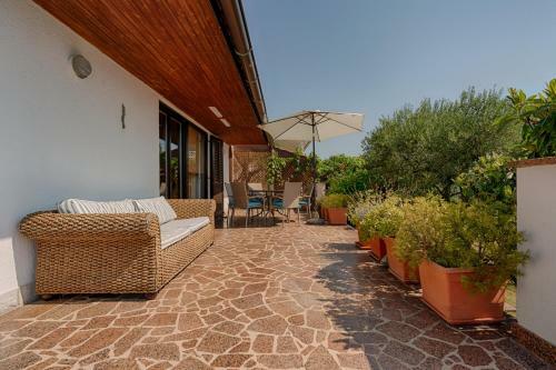 Vila Olive Tree