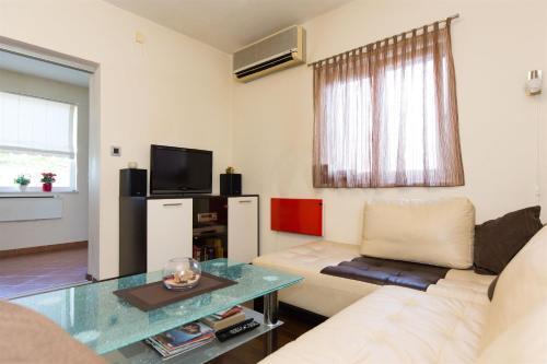 Apartment Rene