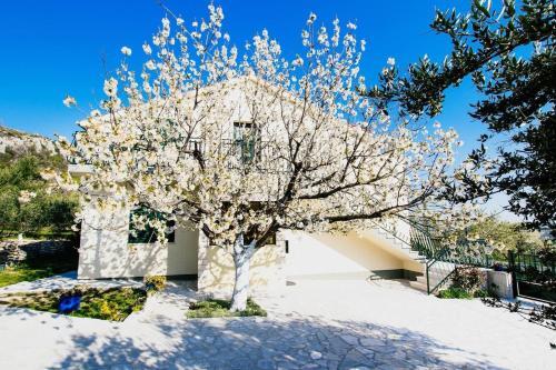 Inviting 6-bed Villa In Plano