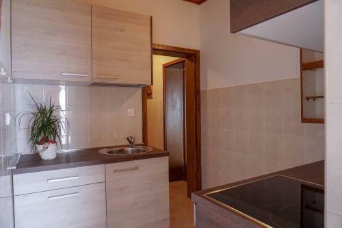Apartments Jakov