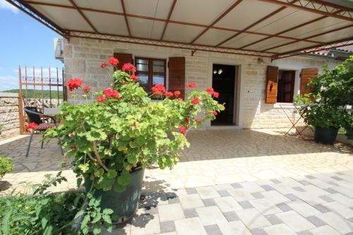 Apartman Vesna