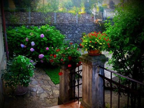 Apartman Villa Adelina