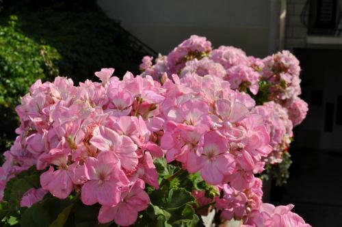 Hostal App & Rooms Ljuba - 130m From Sea