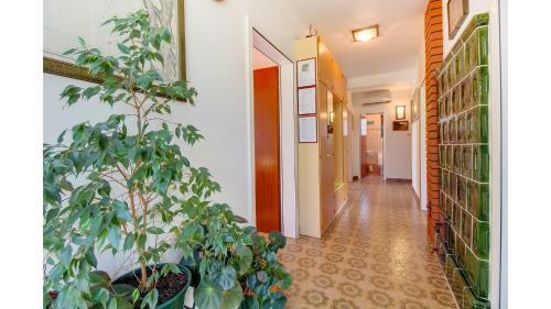 Hostal Cozy Apartment Blamax With Beautiful Private Garden