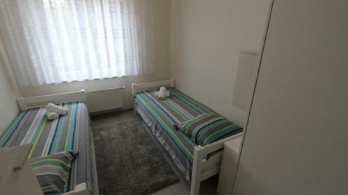 Hostal Apartments Pivas