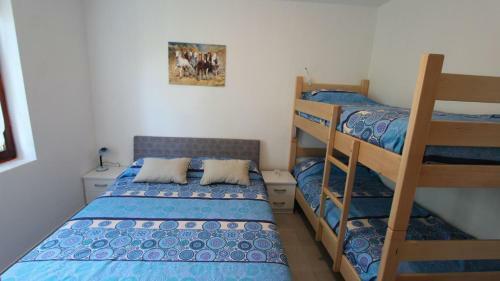 Apartment Bonino