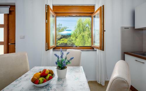 Hostal The Willow Garden Apartment House