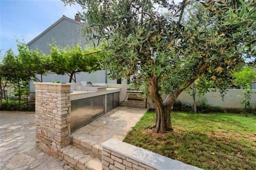 Apartment Olive Tree