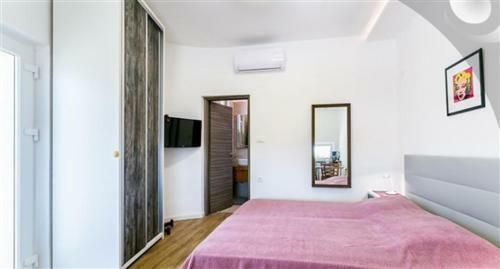 Apartment Olive Tree