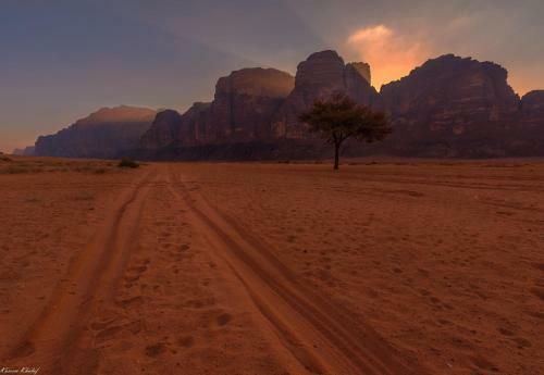 Obeid's Bedouin Life Camp