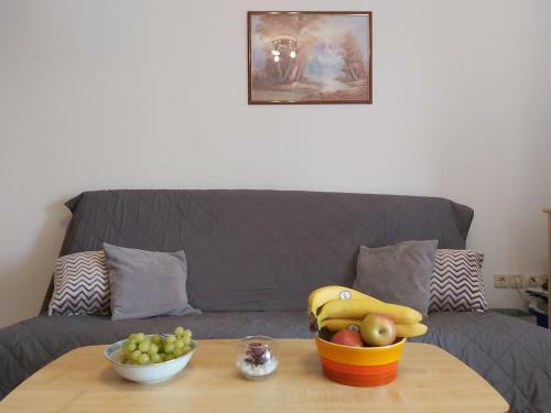 Apartment Mira