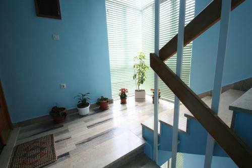 Apartamentos Nino