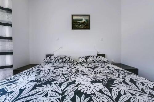 Apartment Vitalia 2+2