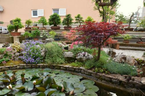 Apartment Beautiful Garden