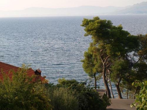 Apartments Jere - Amazing Location