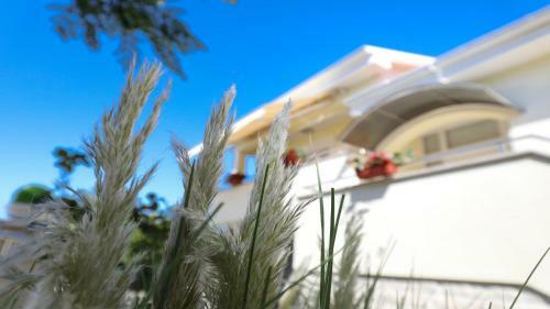 4* Villa Carina With Heated Pool