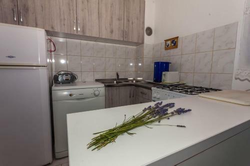 Apartment Adriana On Peaceful Location With Garden