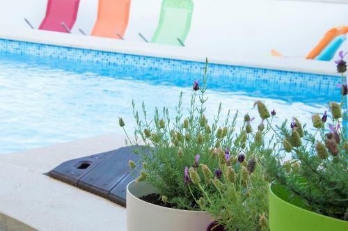 Bed & Breakfast Villa Andrea