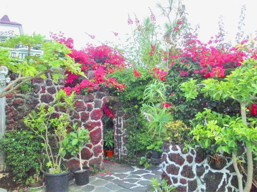 Posada J-garden