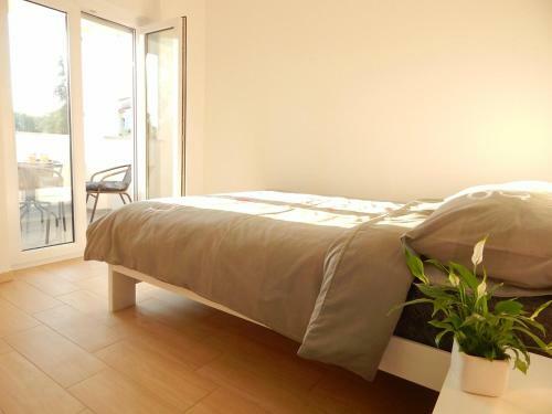 Hostal Apartments Mira