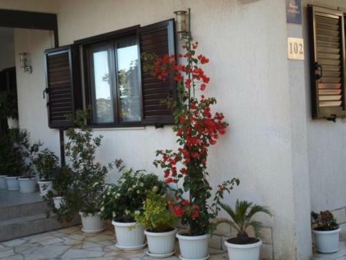 Apartments Marko - 30m From Beach