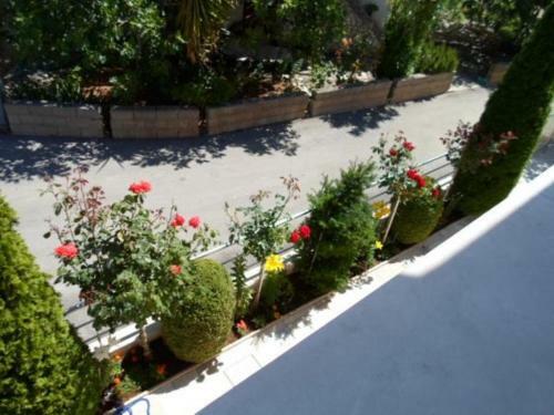 Apartments Marko - 30m From Beach