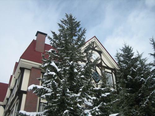 Hotel Rosenheim Hakuba
