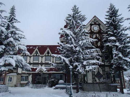 Hotel Rosenheim Hakuba