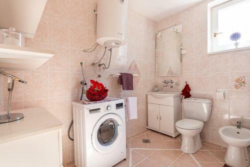 Apartment Alenka