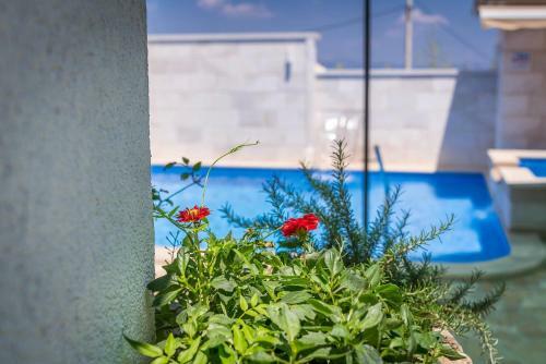 Holiday Home ?krika