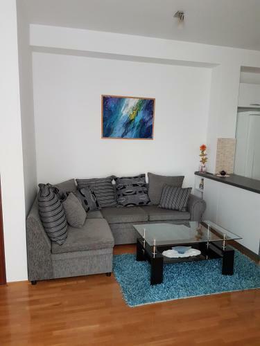 Viola Apartment