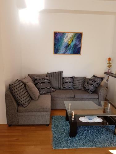 Viola Apartment
