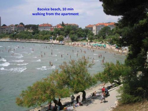 A1 - Apartment In The Very Heart Of Split