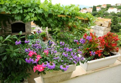 Apartments Neda - Perfect Location