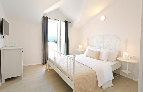 Boutique Hostel Alegria