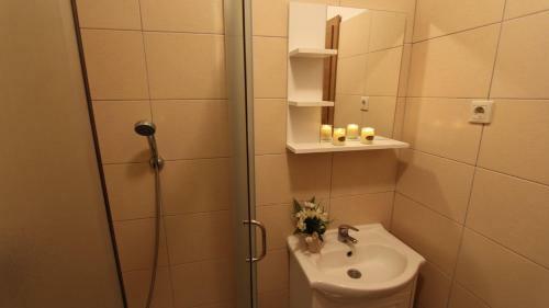 Apartment Ljudmila