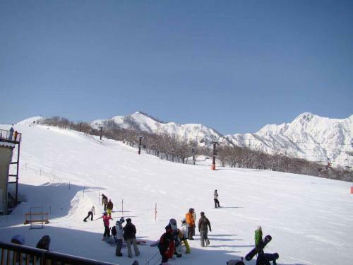 Hakuba Park Hotel