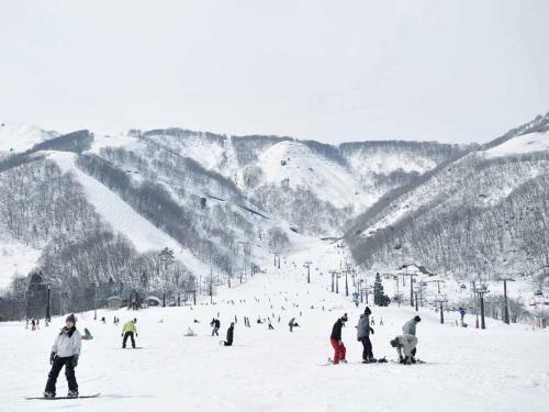 Hakuba Park Hotel