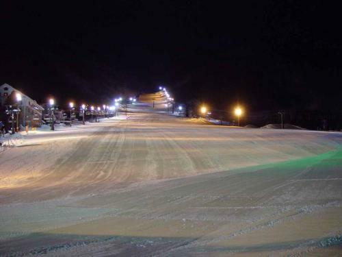 Hakuba Park Hotel