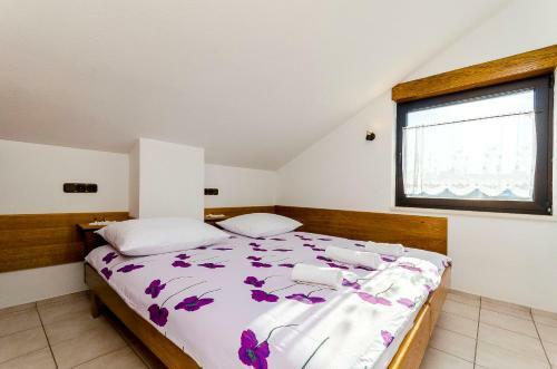 Apartments Ana