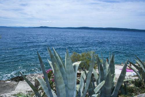 Apartamentos Daniela - Amazing Sea View