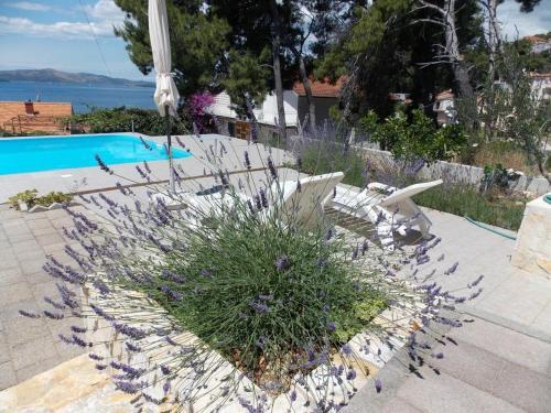 Apartmenthouse Trogir (4236)