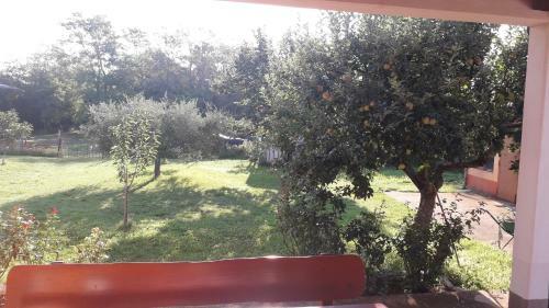 Apartman Lena Umag