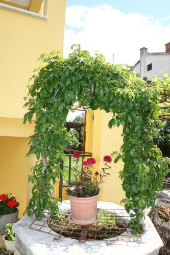 Apartment Luciana