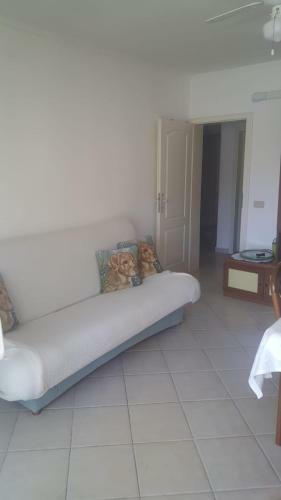 Apartamentos Villa Rosa