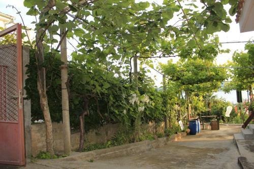Apartments Ante - 30 M From Sea