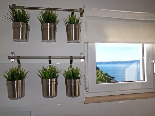 Apartments Ivi