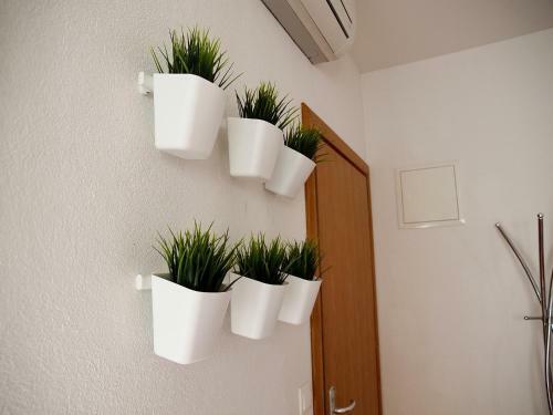 Apartments Ivi